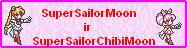 ssm_and_sscm_banner.jpg